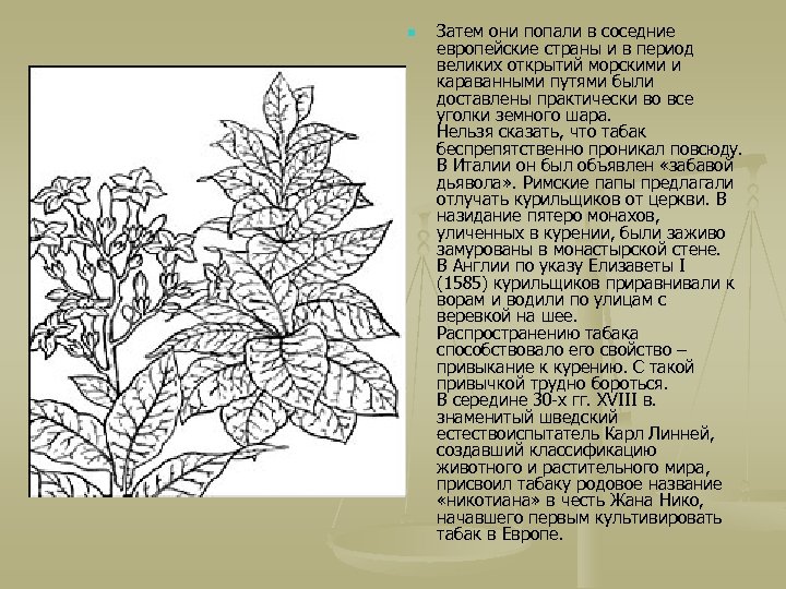 n Затем они попали в соседние европейские страны и в период великих открытий морскими