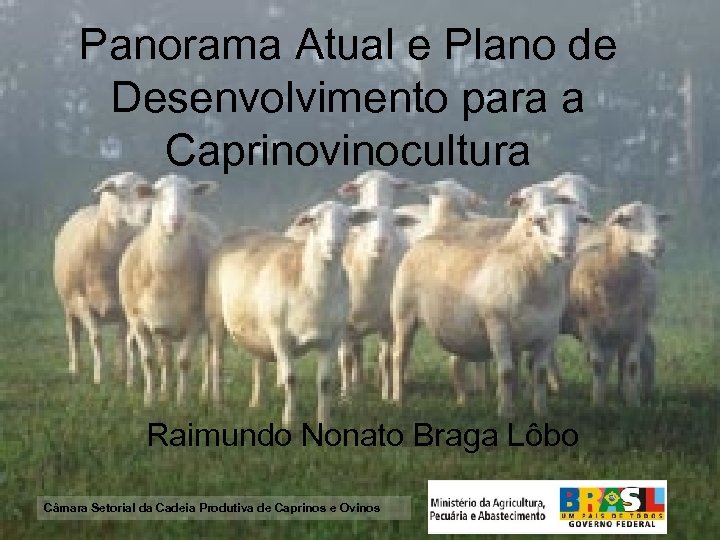 Panorama Atual e Plano de Desenvolvimento para a Caprinovinocultura Raimundo Nonato Braga Lôbo Câmara