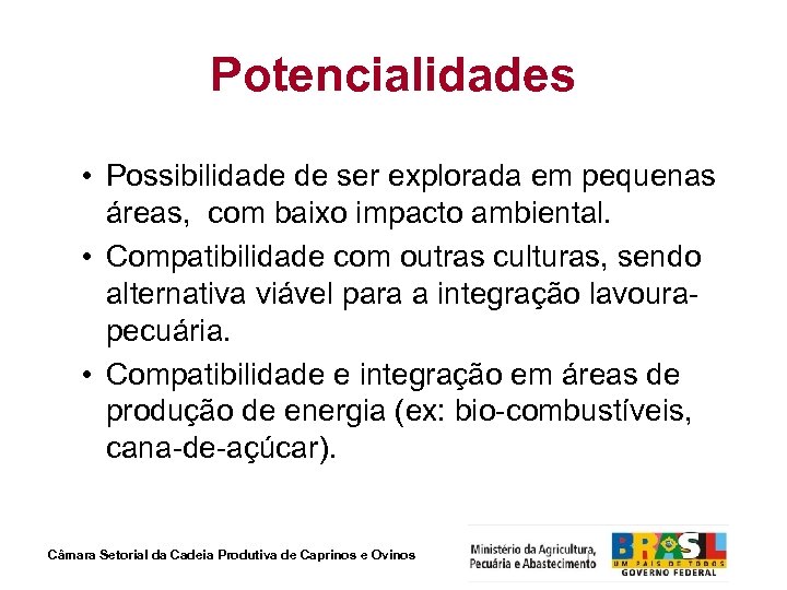 Potencialidades • Possibilidade de ser explorada em pequenas áreas, com baixo impacto ambiental. •