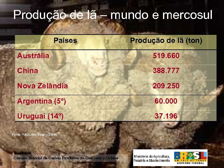 Produção de lã – mundo e mercosul Países Produção de lã (ton) Austrália 519.