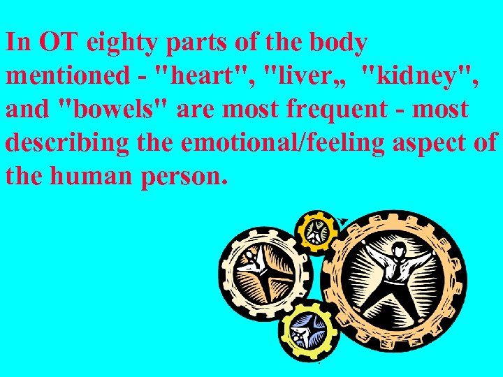 In OT eighty parts of the body mentioned - "heart", "liver„ "kidney", and "bowels"
