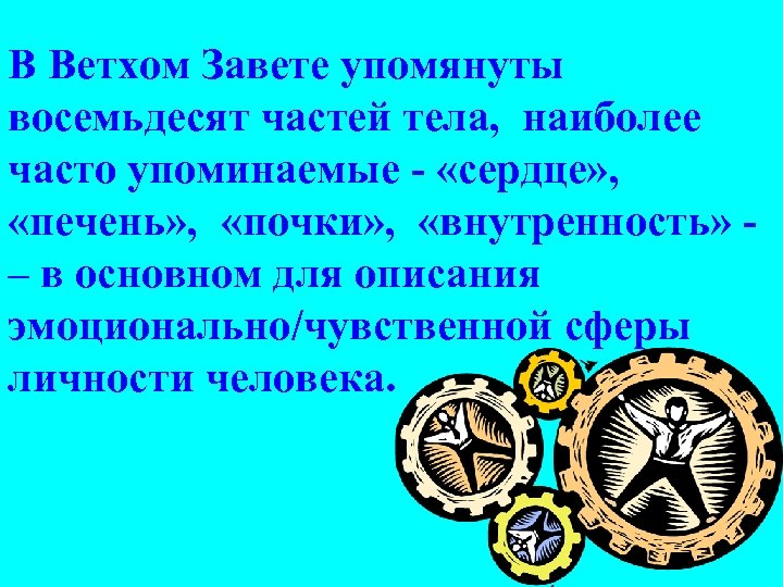 В Ветхом Завете упомянуты восемьдесят частей тела, наиболее часто упоминаемые - «сердце» , «печень»