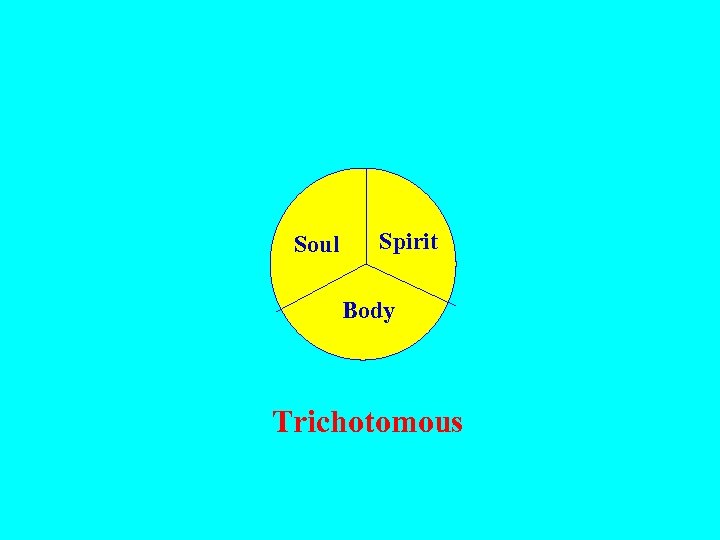 Soul Spirit Body Trichotomous 