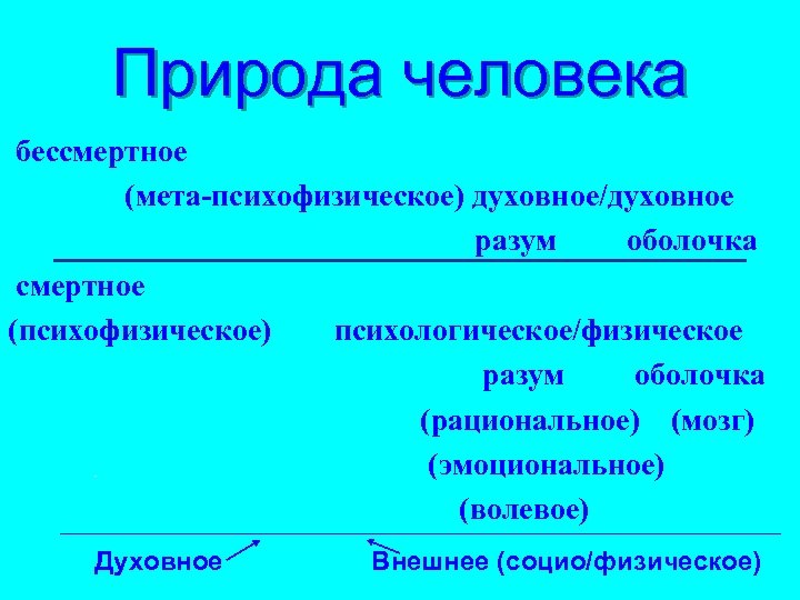 Природа человека бессмертное (мета-психофизическое) духовное/духовное разум оболочка смертное (психофизическое) психологическое/физическое разум оболочка (рациональное) (мозг)