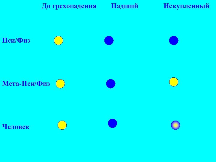  До грехопадения Падший Искупленный Пси/Физ Мета-Пси/Физ Человек 
