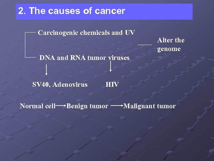 2. The causes of cancer Carcinogenic chemicals and UV Alter the genome DNA and