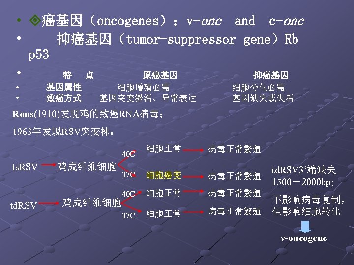  • 癌基因（oncogenes）：v-onc and c-onc • 抑癌基因（tumor-suppressor gene）Rb p 53 • 特 点 原癌基因