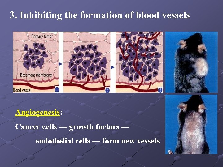 3. Inhibiting the formation of blood vessels Angiogenesis: Cancer cells — growth factors —