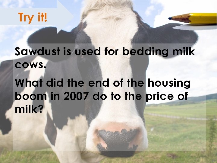 Try it! ; Sawdust is used for bedding milk cows. What did the end