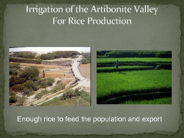 Irrigation of the Artibonite Valley For Rice Production Enough rice to feed the population