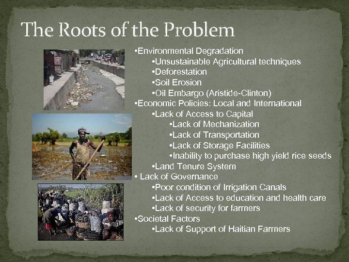 The Roots of the Problem • Environmental Degradation • Unsustainable Agricultural techniques • Deforestation