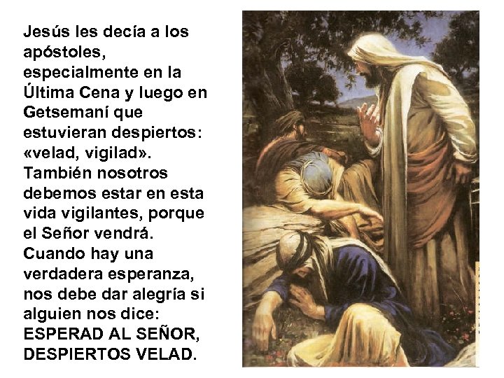 Jesús les decía a los apóstoles, especialmente en la Última Cena y luego en