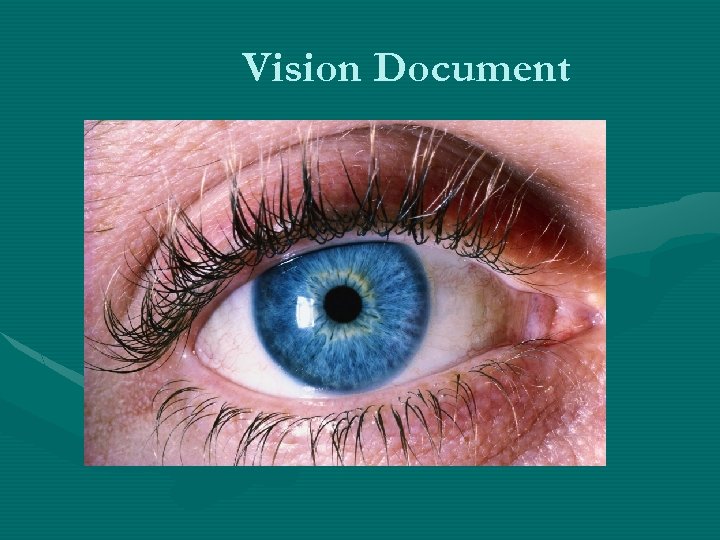 Vision Document 