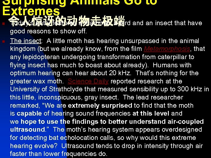 Surprising Animals Go to Extremes n n Today’s entry features a mammal, a bird