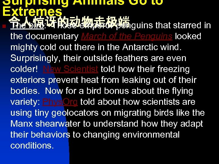Surprising Animals Go to Extremes n 令人惊讶的动物走极端 The bird: Those emperor penguins that starred