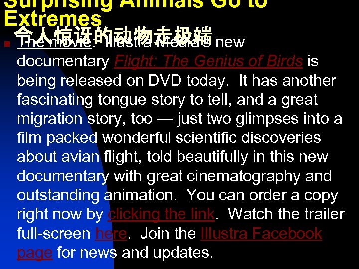 Surprising Animals Go to Extremes n 令人惊讶的动物走极端 The movie: Illustra Media’s new documentary Flight: