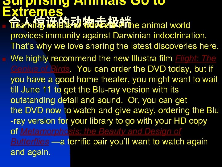 Surprising Animals Go to Extremes n n 令人惊讶的动物走极端 Learning details of wonders in the