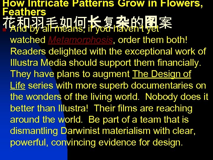How Intricate Patterns Grow in Flowers, Feathers 花和羽毛如何长复杂的图案 n And by all means, if
