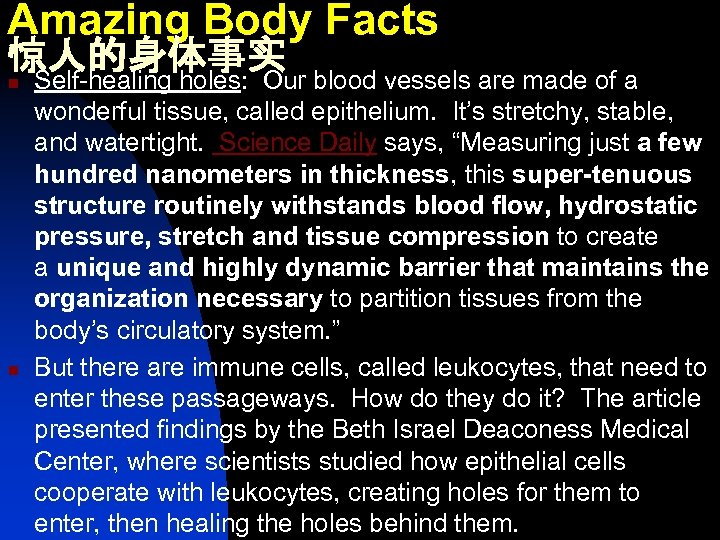 Amazing Body Facts 惊人的身体事实 n Self-healing holes: Our blood vessels are made of a