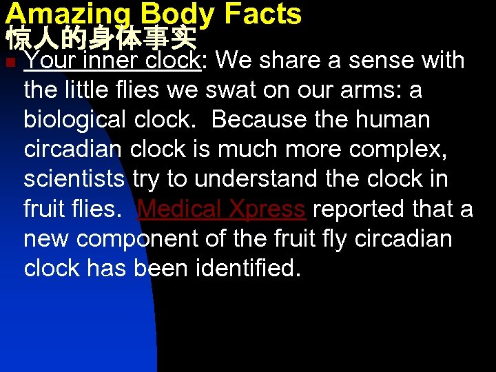 Amazing Body Facts 惊人的身体事实 n Your inner clock: We share a sense with the