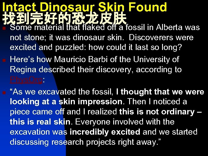 Intact Dinosaur Skin Found 找到完好的恐龙皮肤 Some material that flaked off a fossil in Alberta