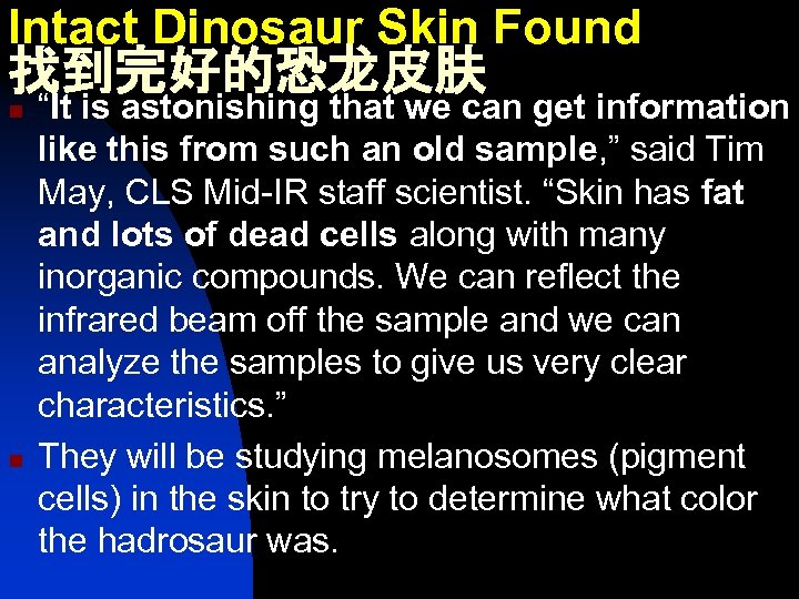 Intact Dinosaur Skin Found 找到完好的恐龙皮肤 n n “It is astonishing that we can get