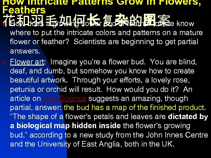 How Intricate Patterns Grow in Flowers, Feathers 花和羽毛如何长复杂的图案 How does a growing flower bud