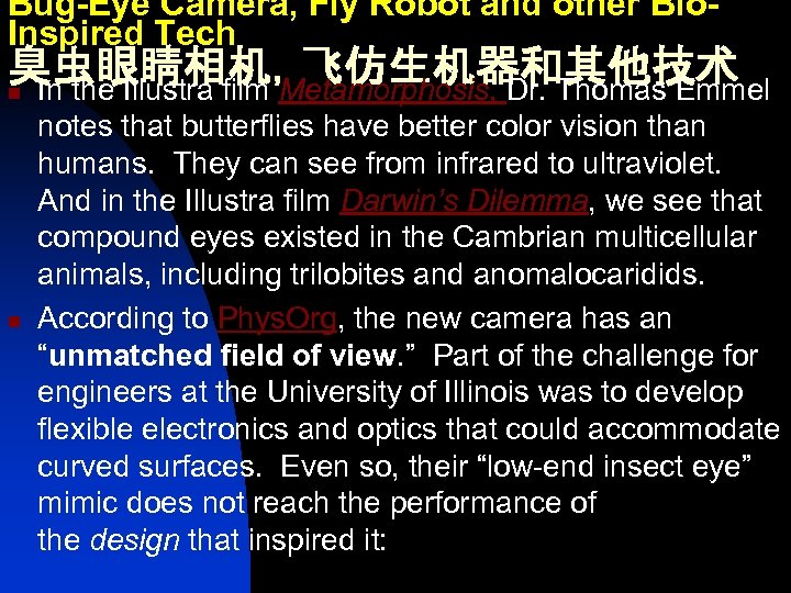 Bug-Eye Camera, Fly Robot and other Bio. Inspired Tech 臭虫眼睛相机，飞仿生机器和其他技术 n In the Illustra