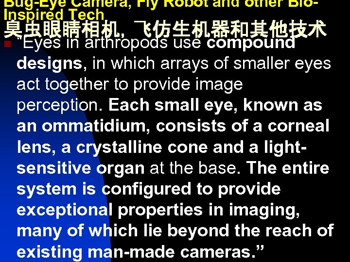 Bug-Eye Camera, Fly Robot and other Bio. Inspired Tech 臭虫眼睛相机，飞仿生机器和其他技术 n “Eyes in arthropods