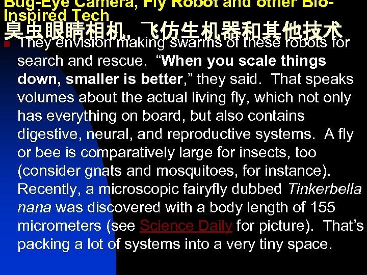 Bug-Eye Camera, Fly Robot and other Bio. Inspired Tech 臭虫眼睛相机，飞仿生机器和其他技术 n They envision making
