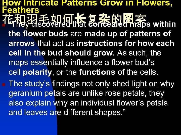 How Intricate Patterns Grow in Flowers, Feathers 花和羽毛如何长复杂的图案 n “They discovered that concealed maps
