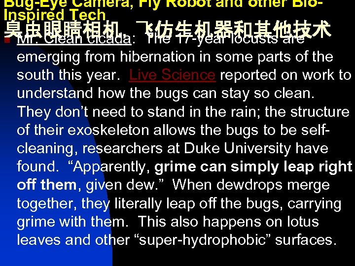 Bug-Eye Camera, Fly Robot and other Bio. Inspired Tech 臭虫眼睛相机，飞仿生机器和其他技术 n Mr. Clean cicada: