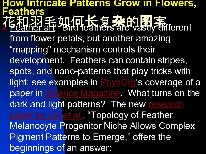 How Intricate Patterns Grow in Flowers, Feathers 花和羽毛如何长复杂的图案 n Feather art: Bird feathers are
