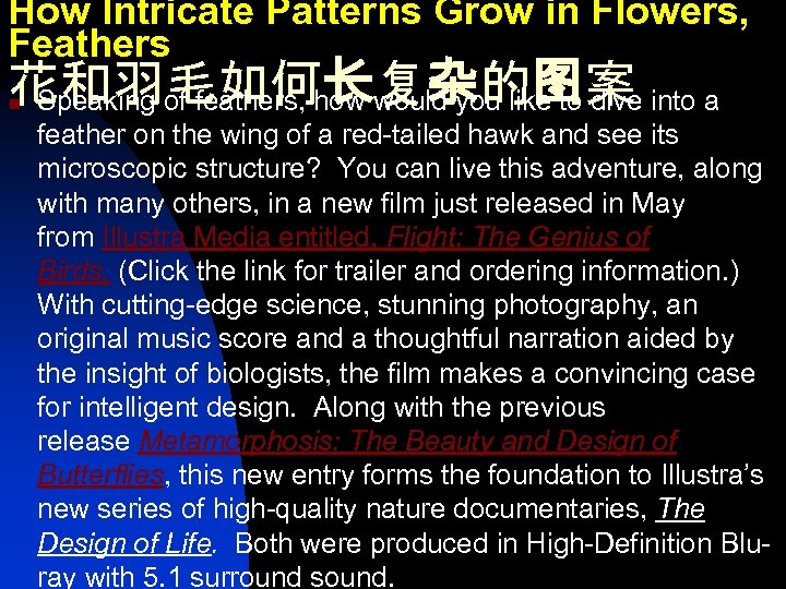 How Intricate Patterns Grow in Flowers, Feathers 花和羽毛如何长复杂的图案 Speaking of feathers, how would you