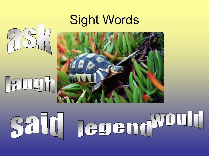 Sight Words 