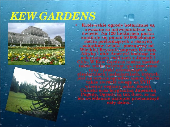 KEW GARDENS • Królewskie ogrody botaniczne są uważane za najwspanialsze na świecie. Na 120