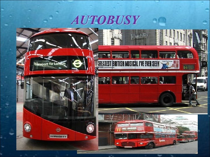 AUTOBUSY • Autobus piętrowy – autobus z dwoma poziomami (piętrami), mieszczący od 60 do