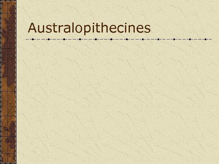 Australopithecines 