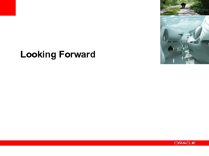 <Insert Picture Here> Looking Forward 