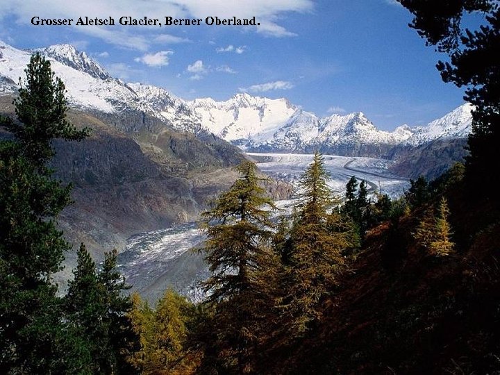 Grosser Aletsch Glacier, Berner Oberland. 