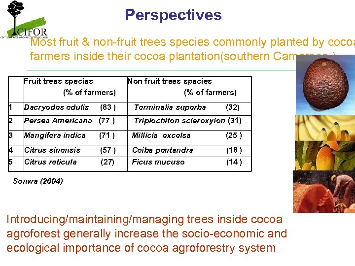 Perspectives Most fruit & non-fruit trees species commonly planted by cocoa farmers inside their