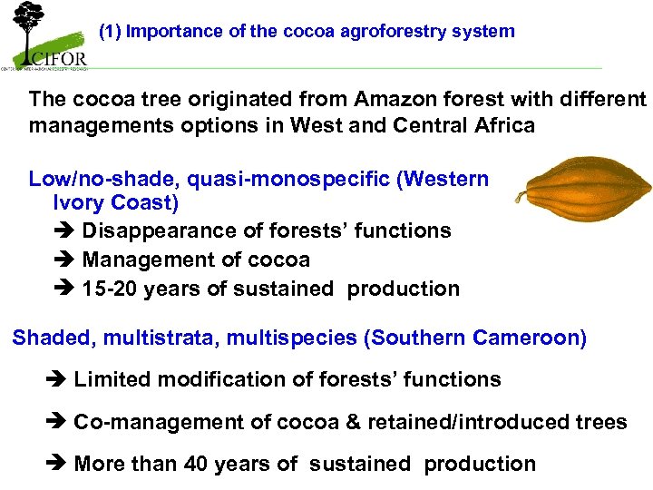 (1) Importance of the cocoa agroforestry system The cocoa tree originated from Amazon forest