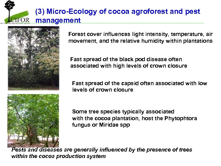 (3) Micro-Ecology of cocoa agroforest and pest management Forest cover influences light intensity, temperature,