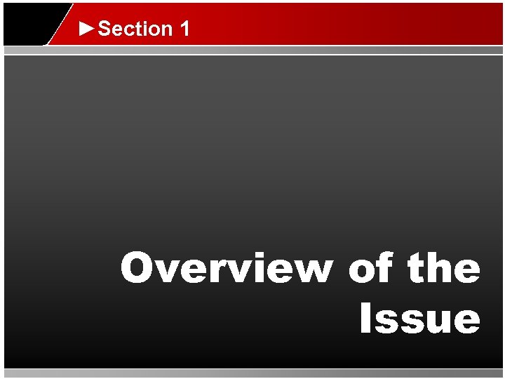 ►Section 1 Overview of the Issue 