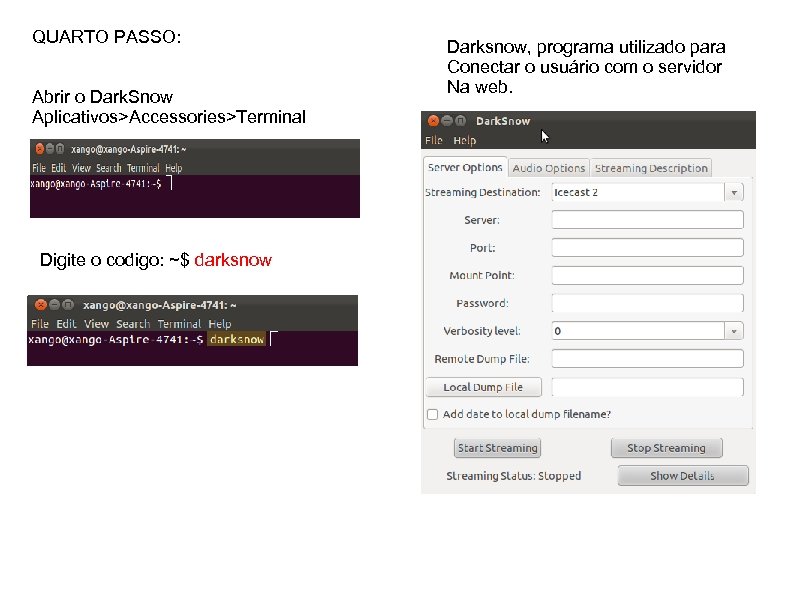QUARTO PASSO: Abrir o Dark. Snow Aplicativos>Accessories>Terminal Digite o codigo: ~$ darksnow Darksnow, programa