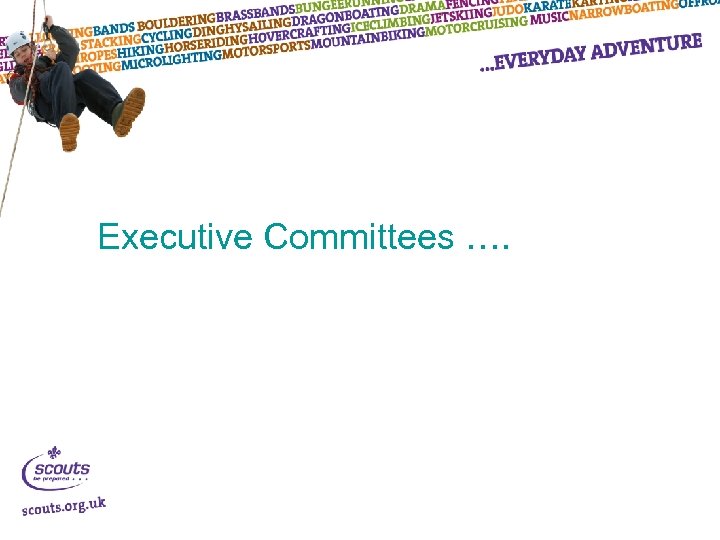 Executive Committees …. 