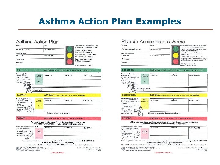 Asthma Action Plan Examples 