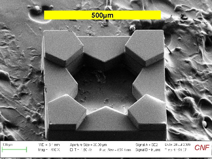 500µm 