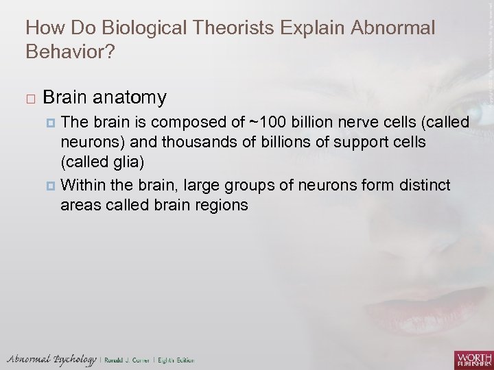 How Do Biological Theorists Explain Abnormal Behavior? Brain anatomy The brain is composed of