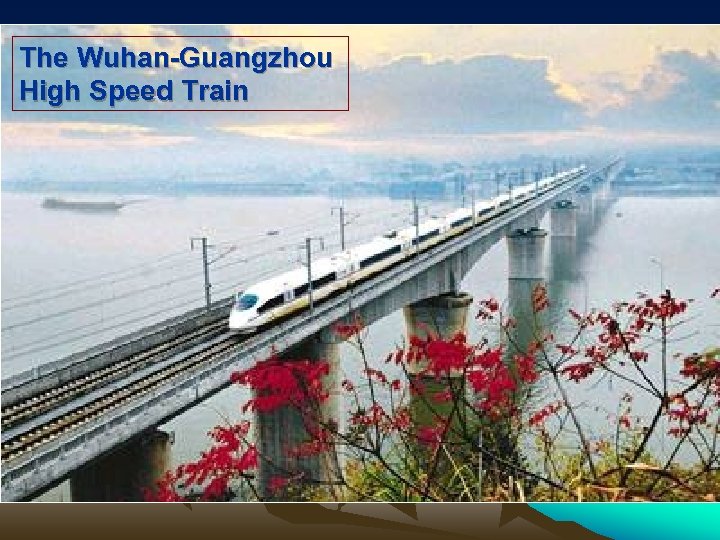 The Wuhan-Guangzhou High Speed Train 